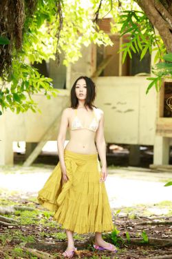 电视剧飞哥大英雄