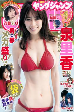 宫锁珠帘 电视剧