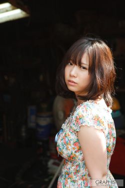 燕王扫北